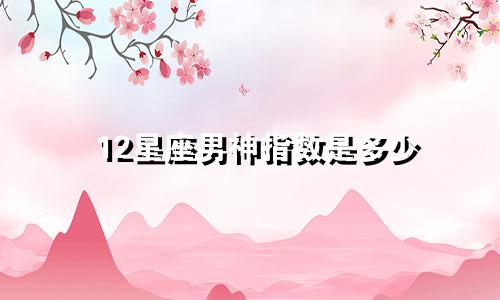 12星座男神指数是多少