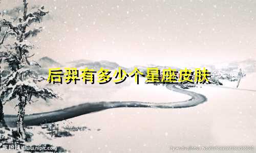 后羿有多少个星座皮肤