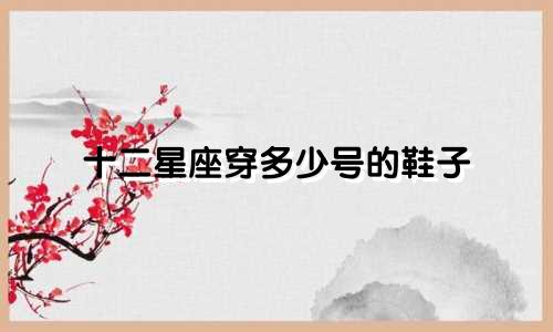 十二星座穿多少号的鞋子
