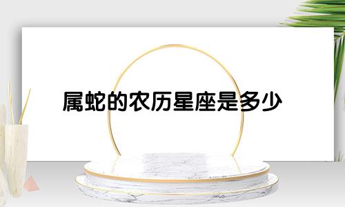 属蛇的农历星座是多少