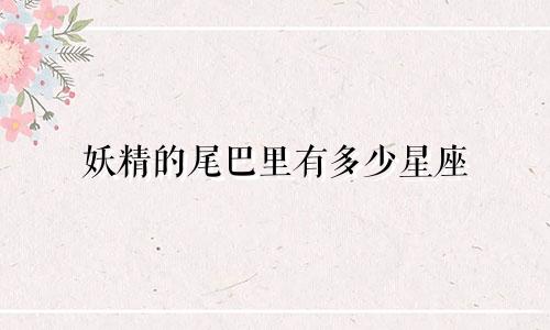 妖精的尾巴里有多少星座