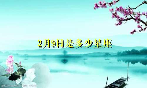 2月9日是多少星座