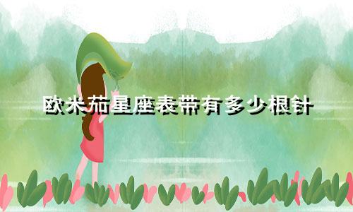 欧米茄星座表带有多少根针