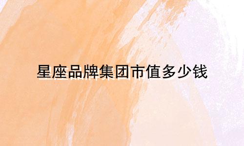 星座品牌集团市值多少钱