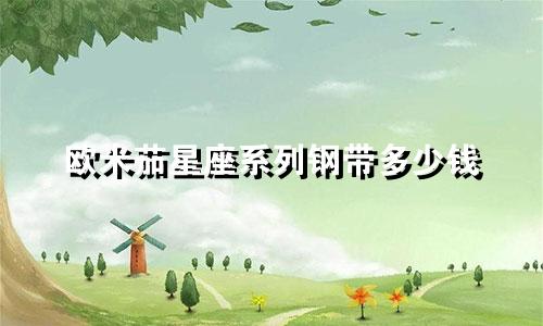 欧米茄星座系列钢带多少钱