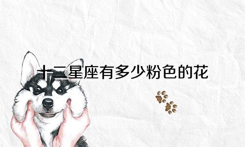 十二星座有多少粉色的花