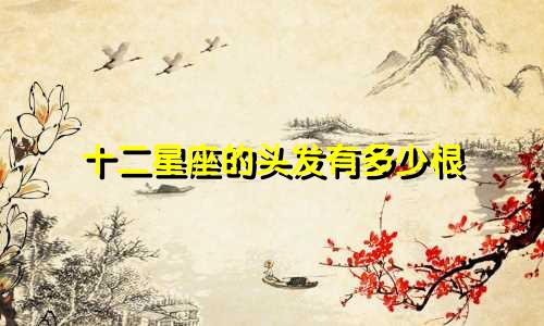 十二星座的头发有多少根