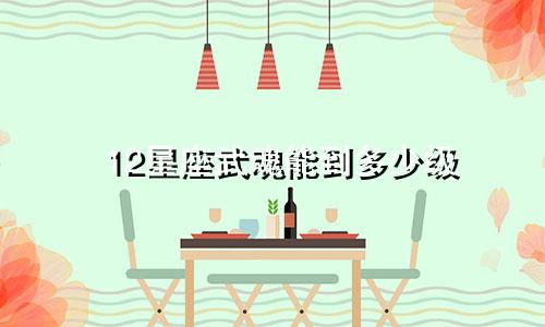 12星座武魂能到多少级