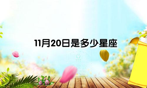 11月20日是多少星座