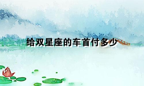 给双星座的车首付多少