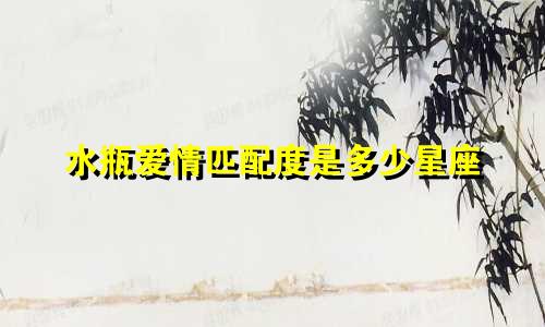 水瓶爱情匹配度是多少星座