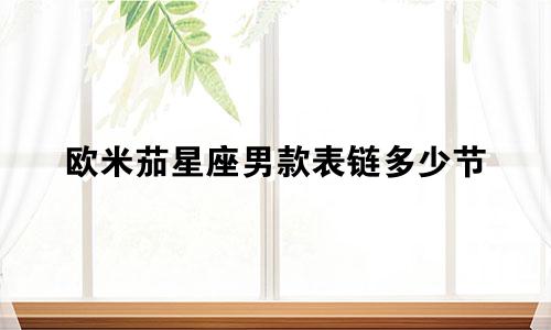 欧米茄星座男款表链多少节