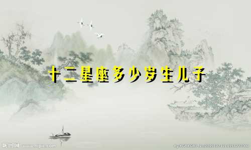十二星座多少岁生儿子