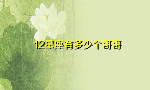 12星座有多少个哥哥