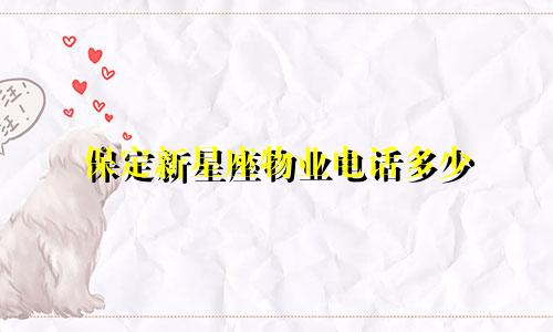 保定新星座物业电话多少
