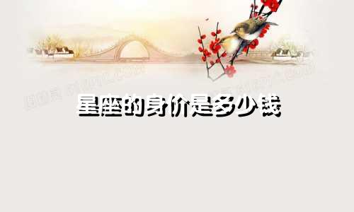 星座的身价是多少钱