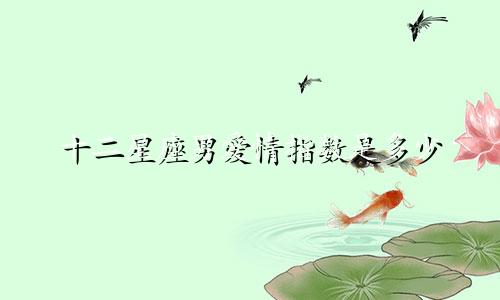 十二星座男爱情指数是多少