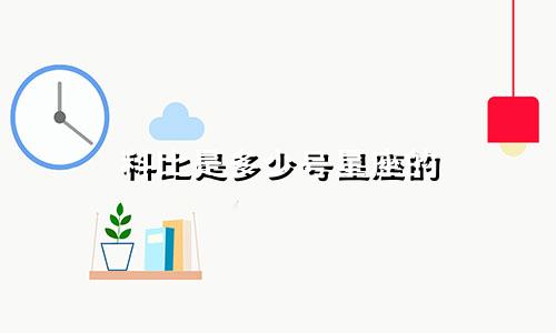 科比是多少号星座的