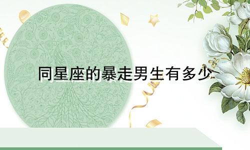 同星座的暴走男生有多少
