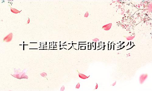 十二星座长大后的身价多少