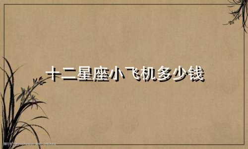十二星座小飞机多少钱