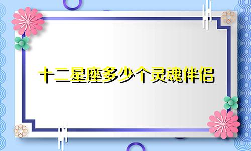 十二星座多少个灵魂伴侣