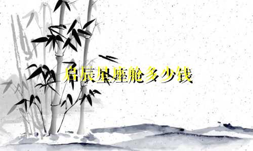启辰星座舱多少钱