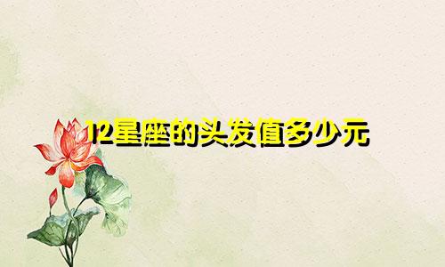 12星座的头发值多少元