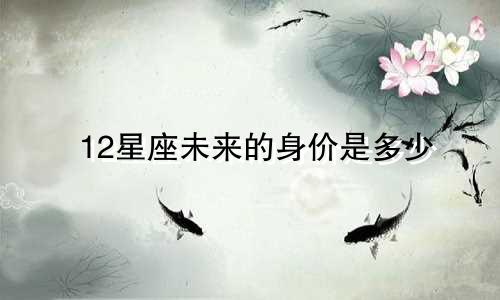 12星座未来的身价是多少