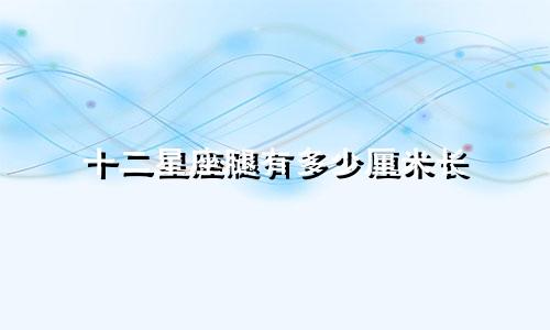 十二星座腿有多少厘米长