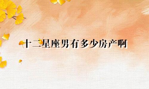 十二星座男有多少房产啊