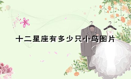 十二星座有多少只小鸟图片