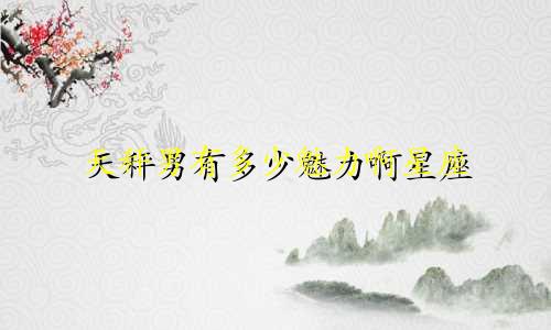 天秤男有多少魅力啊星座