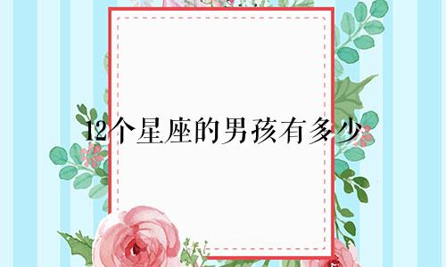 12个星座的男孩有多少