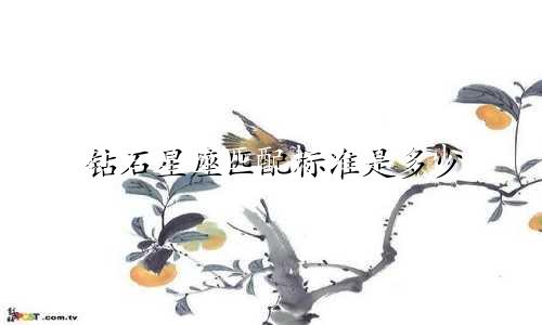 钻石星座匹配标准是多少