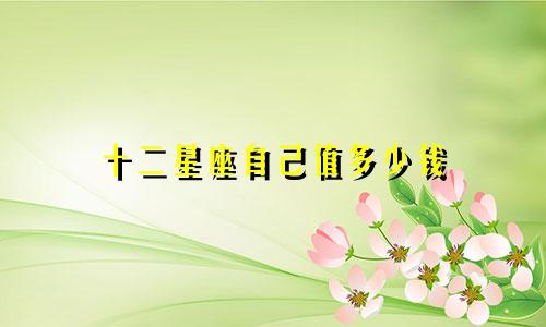 十二星座自己值多少钱