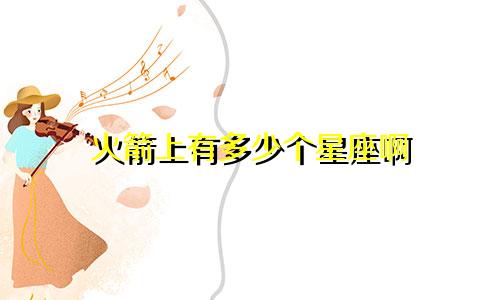 火箭上有多少个星座啊