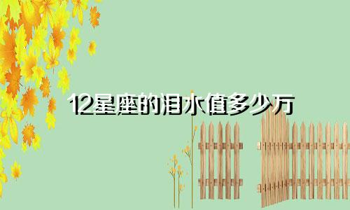 12星座的泪水值多少万