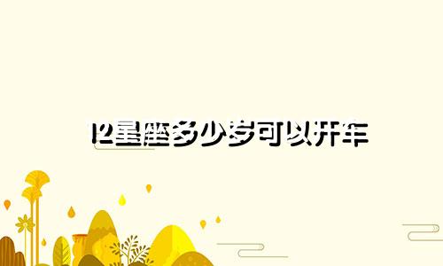 12星座多少岁可以开车