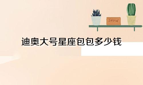 迪奥大号星座包包多少钱