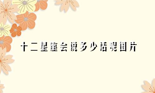 十二星座会说多少话呢图片