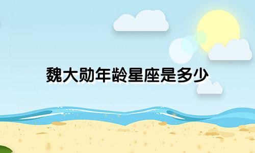 魏大勋年龄星座是多少