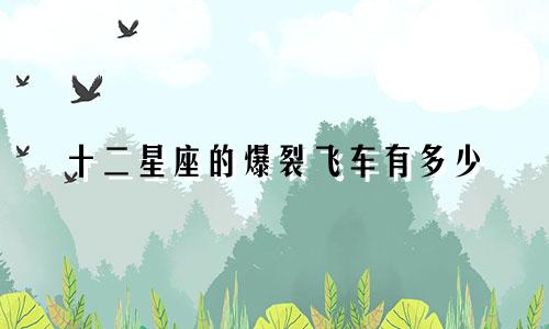 十二星座的爆裂飞车有多少