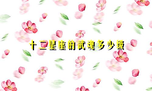 十二星座的武魂多少级