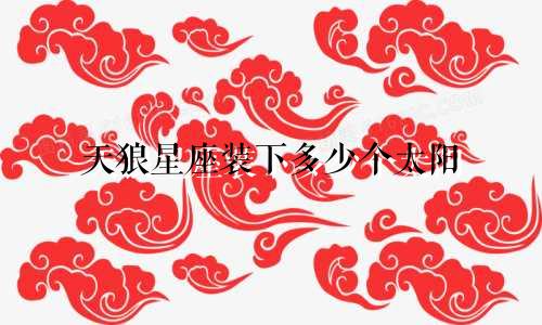 天狼星座装下多少个太阳
