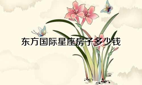 东方国际星座房子多少钱