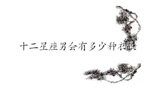 十二星座男会有多少种衣服