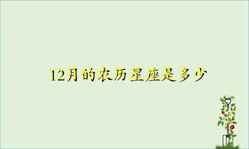 12月的农历星座是多少