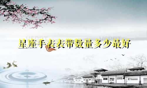 星座手表表带数量多少最好