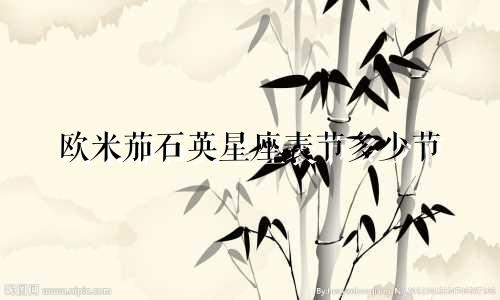 欧米茄石英星座表节多少节